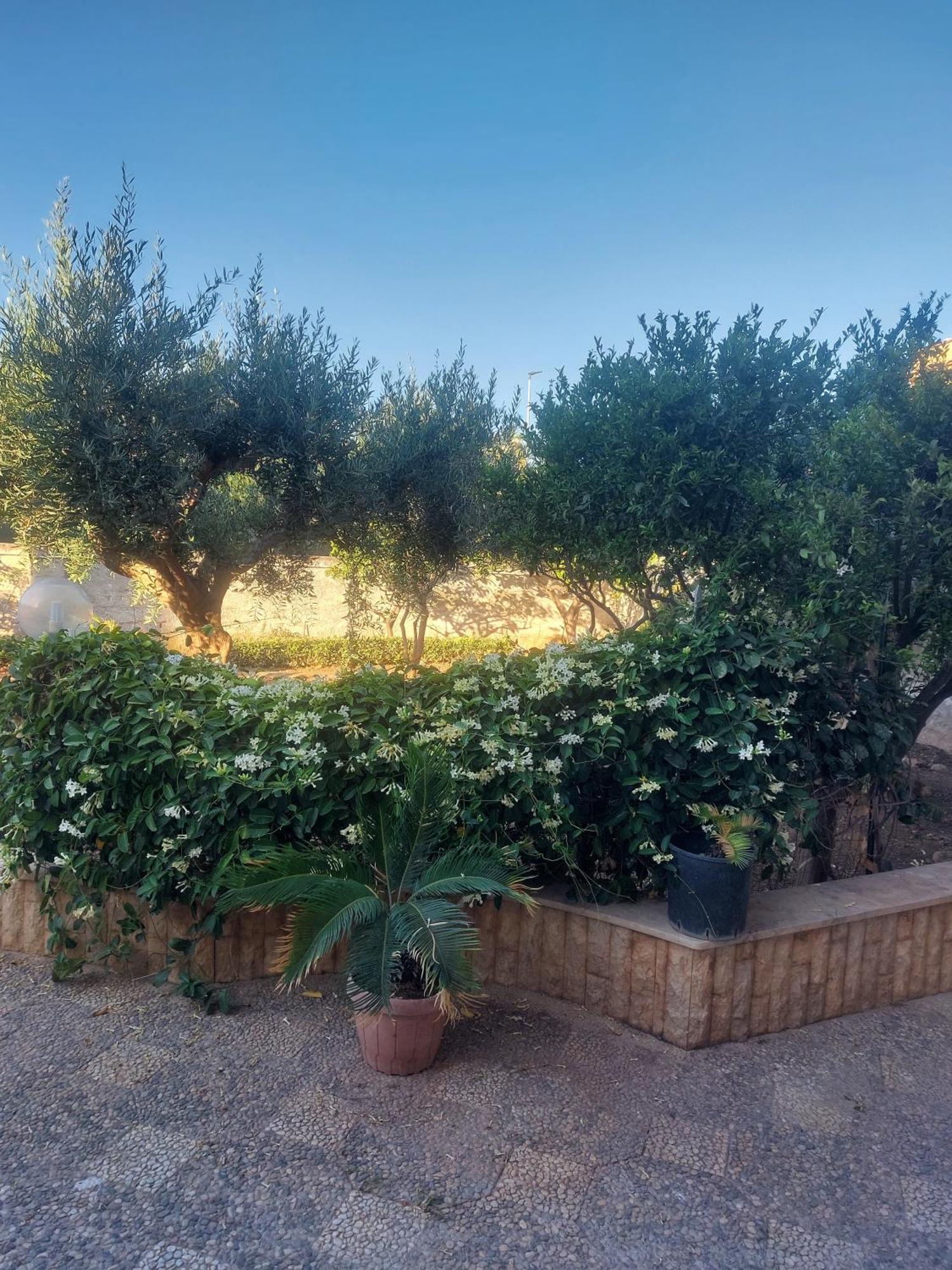 Alcantara Suites Trapani Exteriör bild